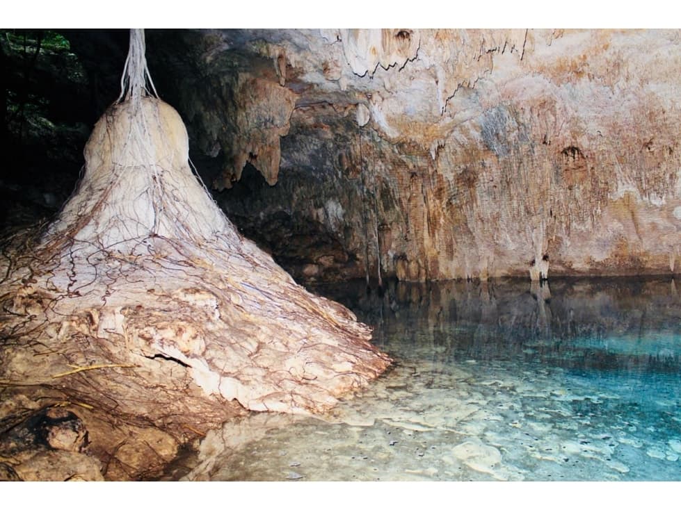 VENTA DE 140 HAS CON 10 CENOTES EN LA RIVIERA MAYA — foto 1