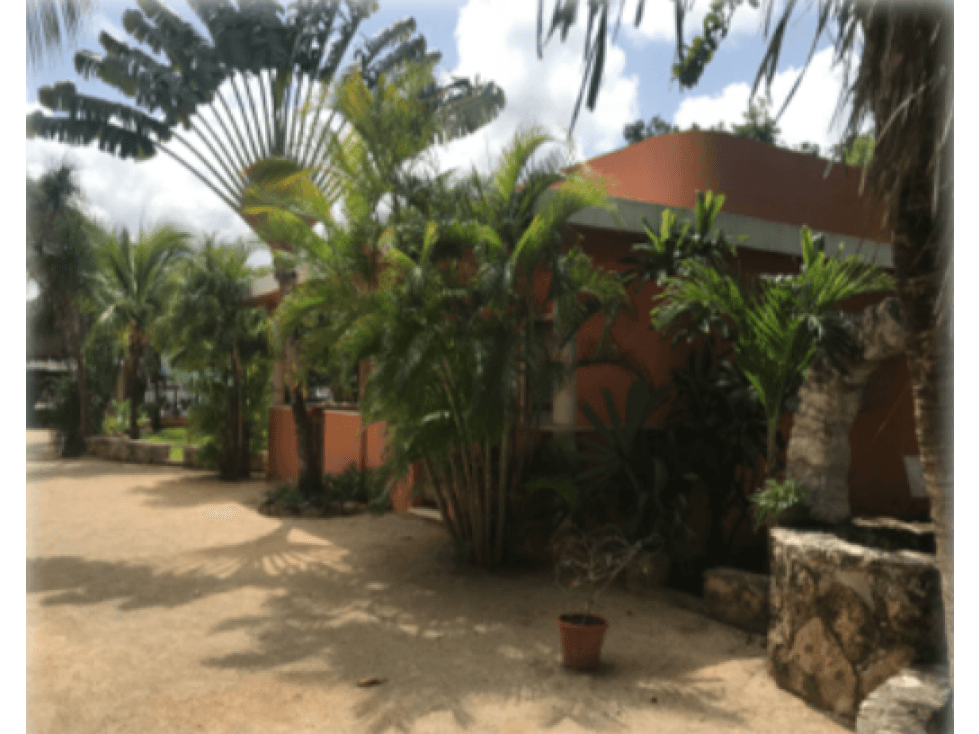 Venta Hotel en "La Veleta" Mza 33, Tulum — foto 3