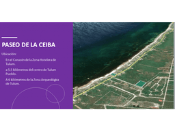 LOTES ESTUPENDOS DE 2000 M2 EN LA ZONA HOTELERA DE TULUM