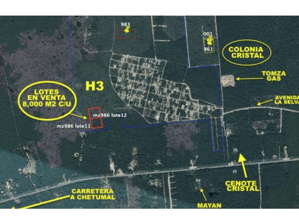 VENTA DE DOS LOTES EN LA MZA 986 DE TULUM — foto 2