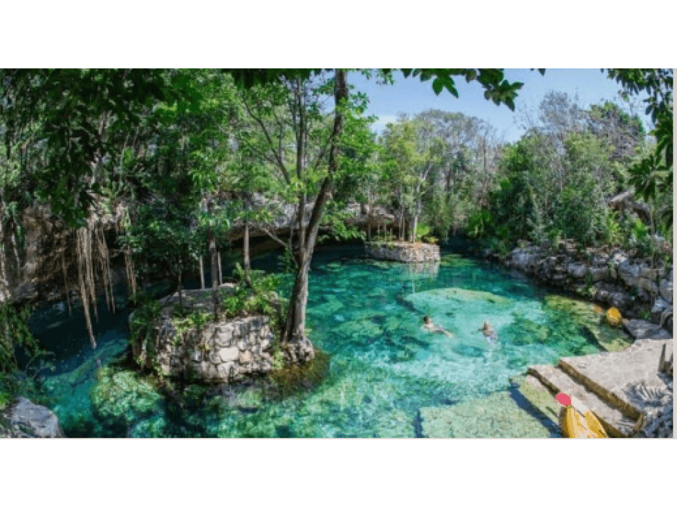 VENTA DE HERMOSO TERRENO EN DOS OJOS, TULUM — foto 1
