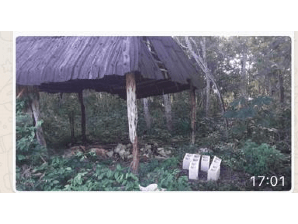 ESTUPENDO TERRENO EN UH MAY, CARRILLO PUERTO — foto 2