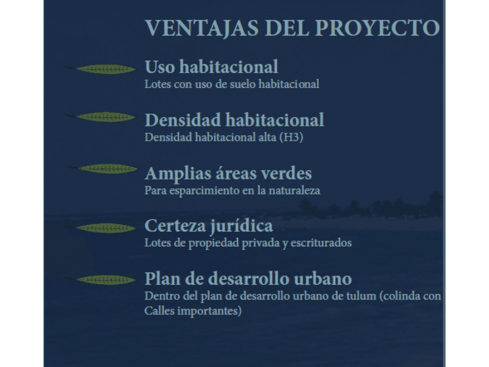 VENTA DE LOTES DE INVERSIÓN DESDE 307 M2 EN TULUM — foto 4