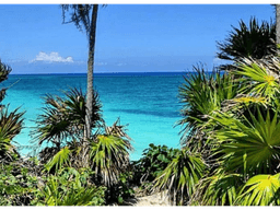 MAGNIFICOS LOTES DE OPORTUNIDAD EN MZA 87 DE TULUM, DENSIDAD H3