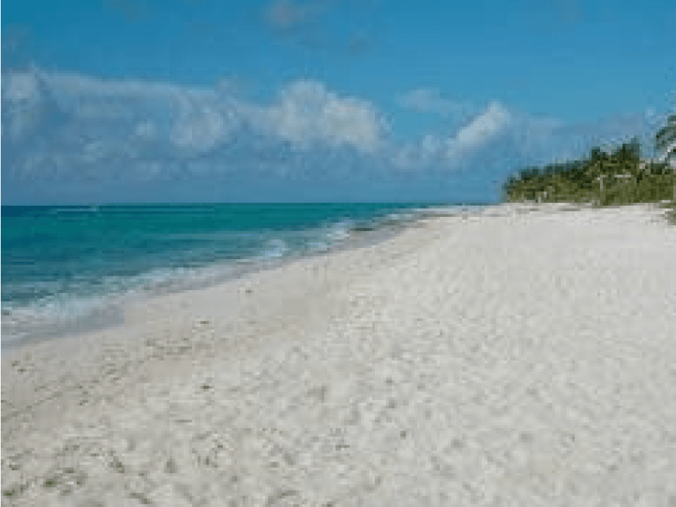 FABULOSO LOTE DE 904 M EN XCALACOCO — foto 3