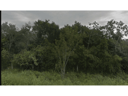 TERRENO EN TULUM MZA 834 IDEAL PARA DESARROLLADORES