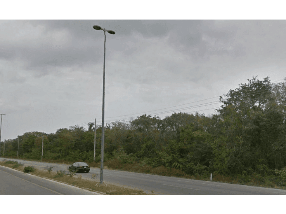 EXCLUSIVO LOTE DE 88 HAS EN PUNTA VENADO — foto 4