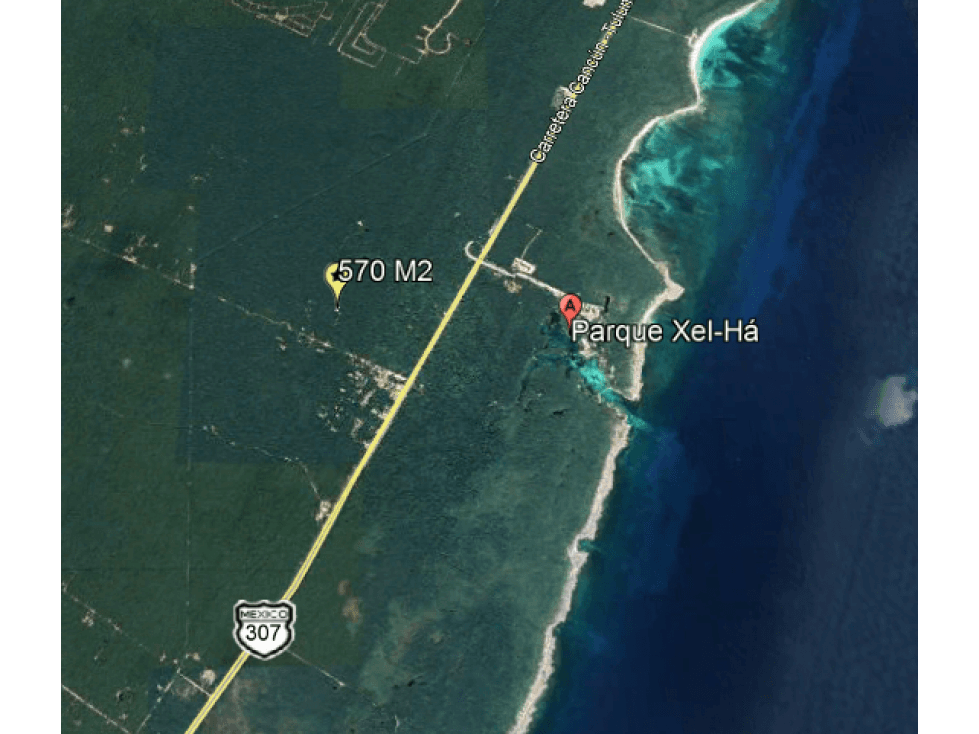 VENTA DE HERMOSO TERRENO EN DOS OJOS, TULUM — foto 5
