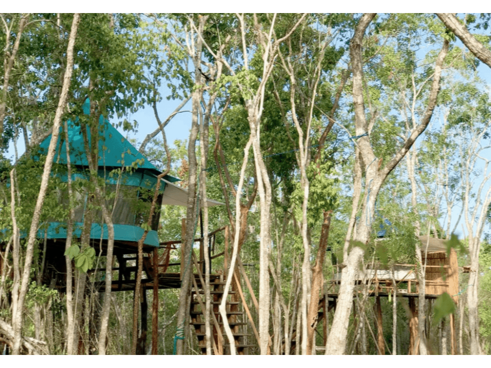 Francisco Hu May, Vendo Hectárea — foto 5