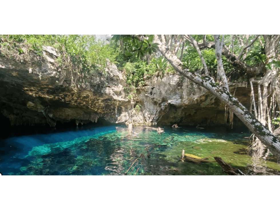 LOTES COMERCIALES EN CARRETERA TULUM-COBÁ — foto 4