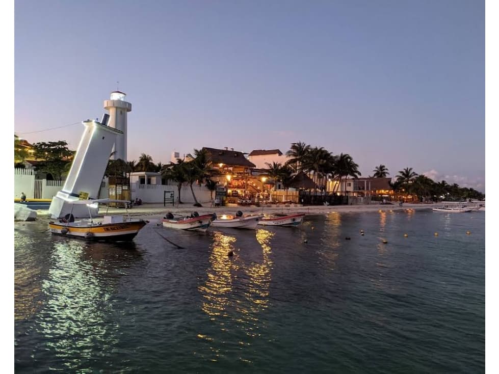 VENTA DE 4.8 HAS EN PUERTO MORELOS — foto 6