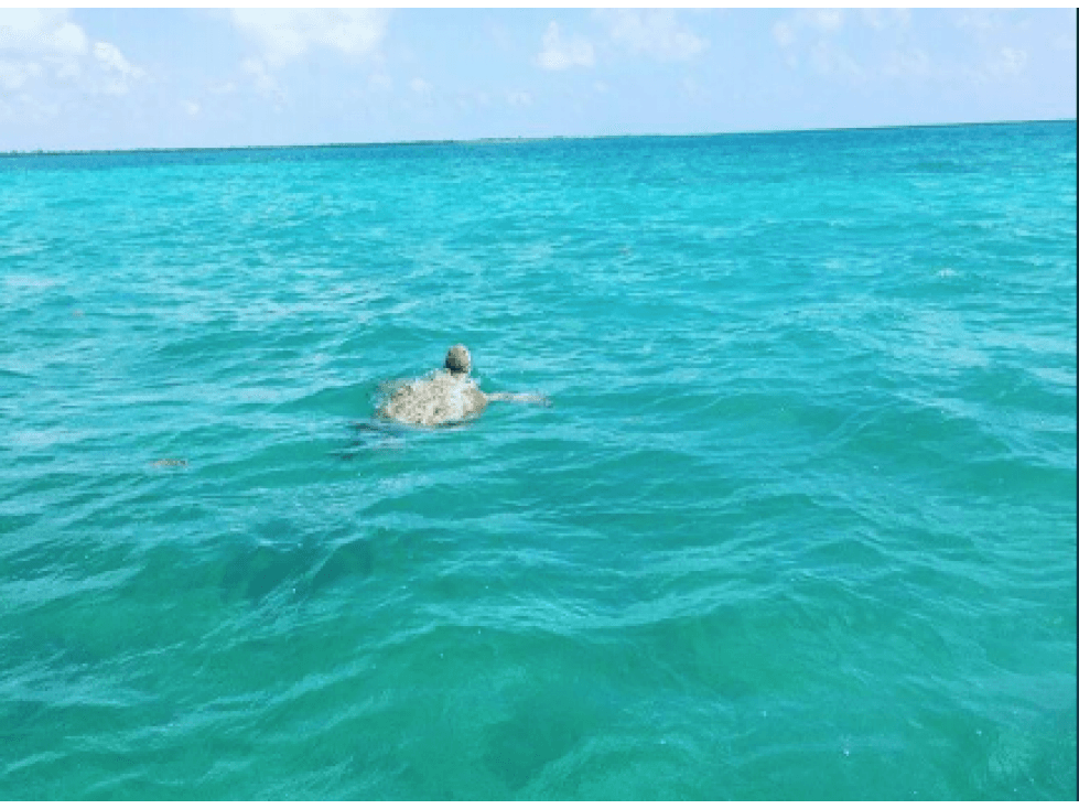 Venta Terreno en Punta Allen, Tulum — foto 2