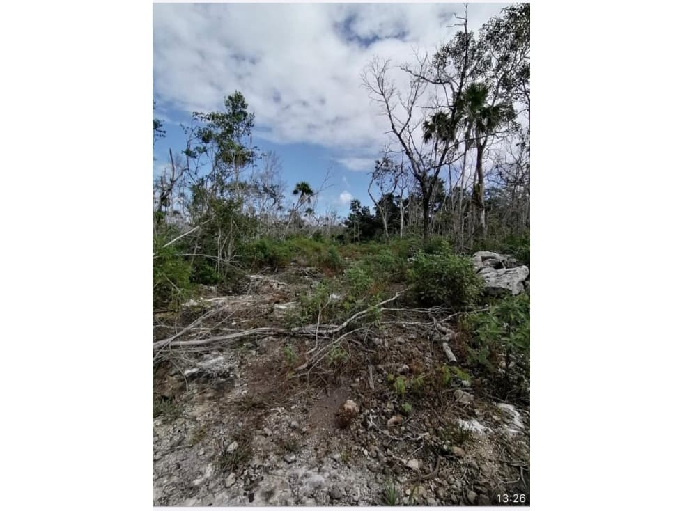 VENTA DE DOS LOTES EN LA MZA 986 DE TULUM — foto 4