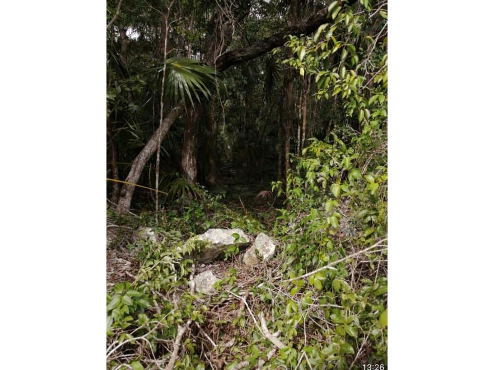 VENTA DE DOS LOTES EN LA MZA 986 DE TULUM — foto 5