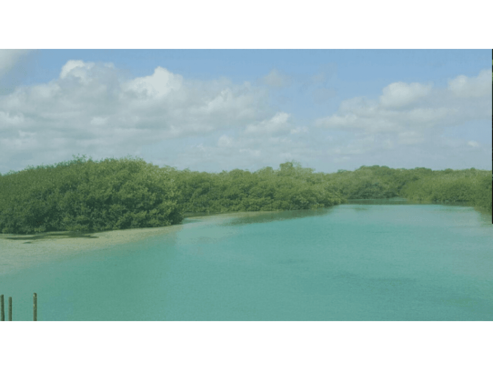 Venta Terreno en Punta Allen, Tulum — foto 4