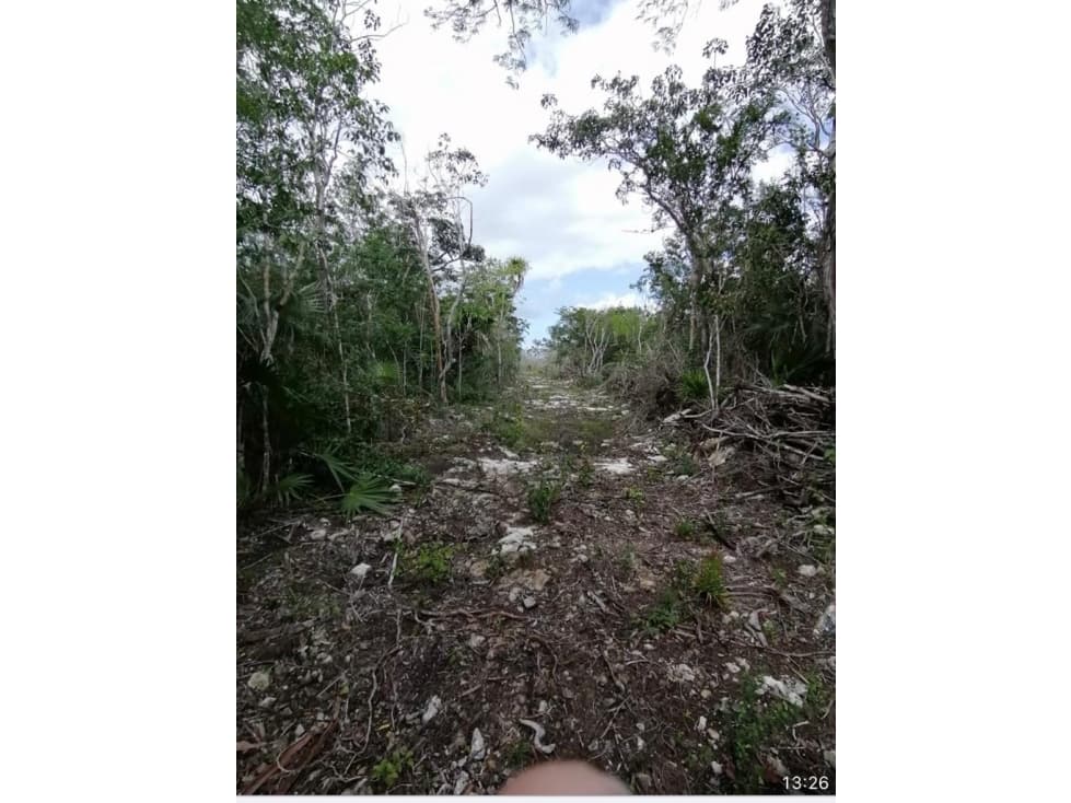VENTA DE DOS LOTES EN LA MZA 986 DE TULUM — foto 6