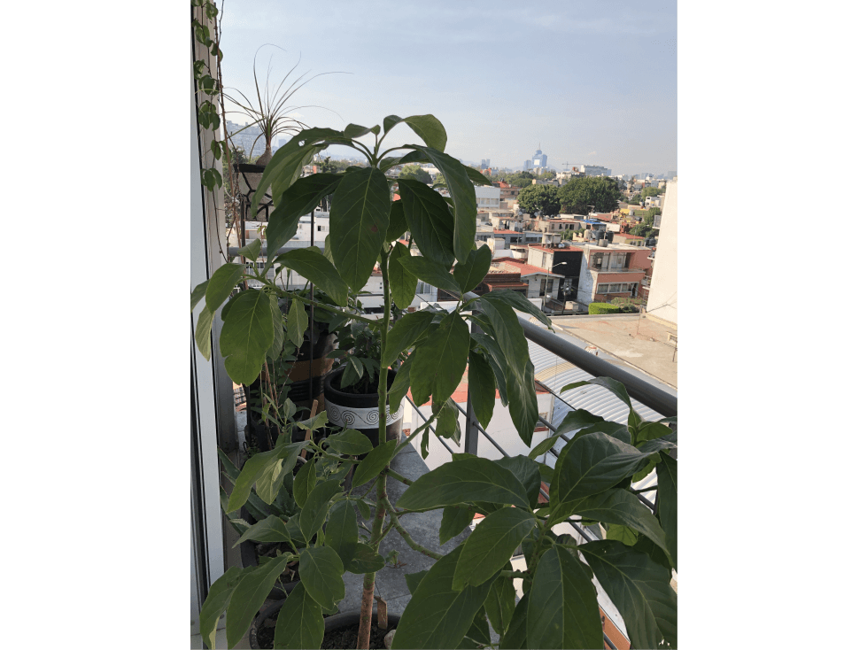 VENTA DE LINDO DEPARTAMENTO EN COL. LETRÁN VALLE — foto 6