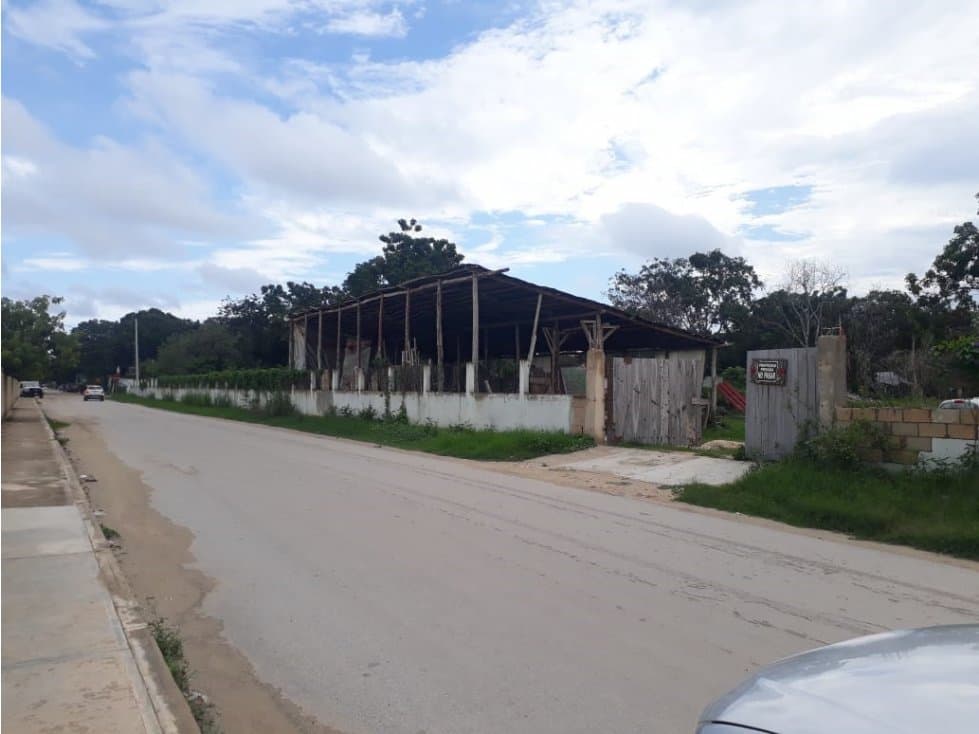 TERRENO 7500 M2 EXPO FERIA TULUM — foto 3
