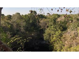 LOTES ECOLOGICOS EN PLAYA DEL CARMEN