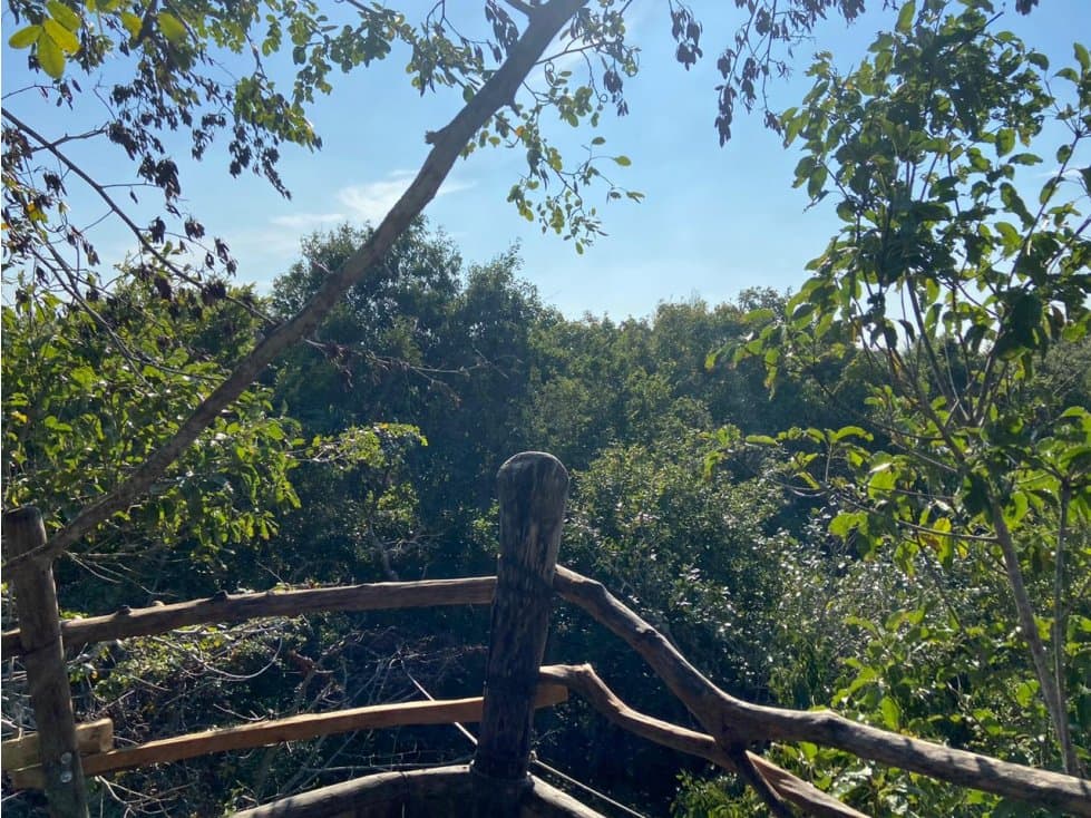 LOTES ECOLOGICOS EN PLAYA DEL CARMEN — foto 2