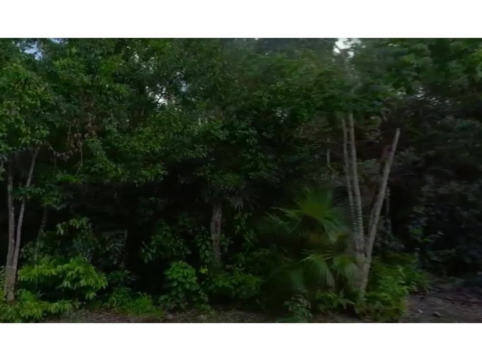 1 hectarea en La veleta Tulum Region 15 — foto 2