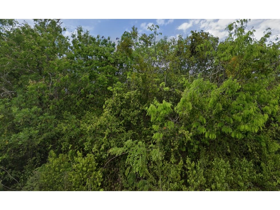 1 hectarea en La veleta Tulum Region 15 — foto 5