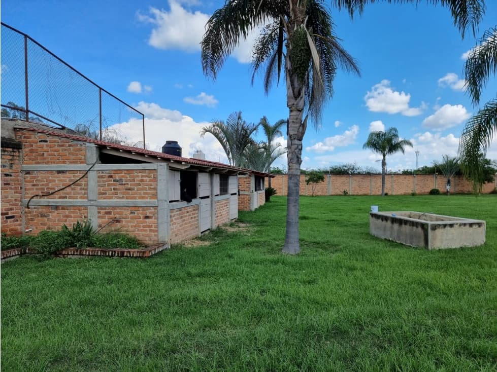 Terraza/Rancho 3200m2 en Ejido Copalita — foto 6
