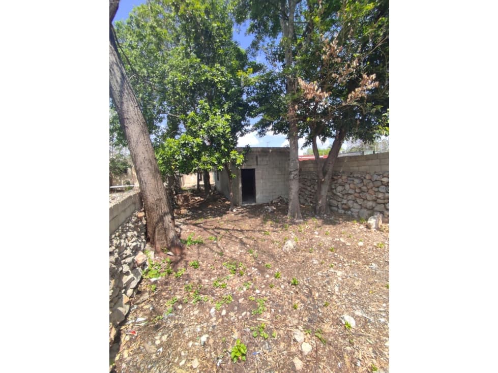 OPORTUNIDAD PARA RESTAURAR CASA EN EL CENTRO DE MÉRIDA — foto 2