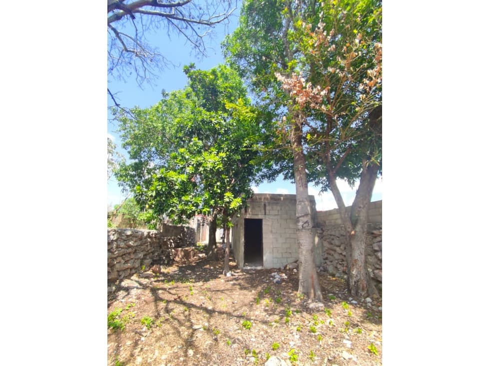 OPORTUNIDAD PARA RESTAURAR CASA EN EL CENTRO DE MÉRIDA — foto 3