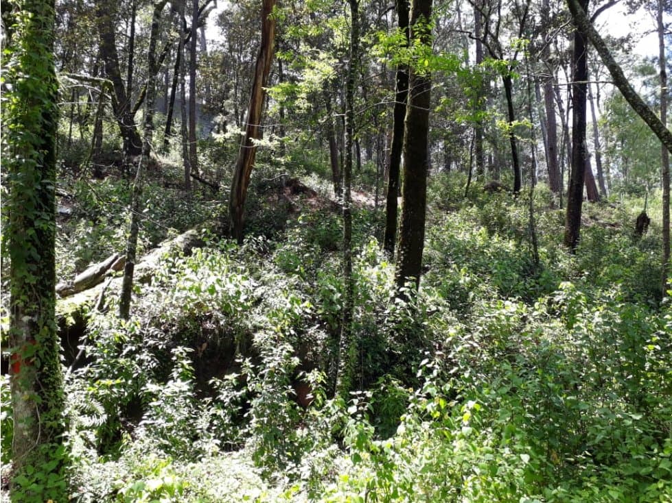 TERRENO EN VENTA EN AVANDARO — foto 3