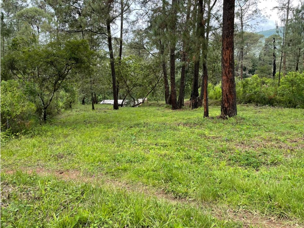 TERRENO EN VENTA, VALLE DE BRAVO — foto 1