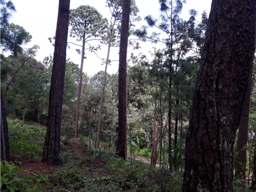 TERRENO EN VENTA EN AVANDARO — foto 5
