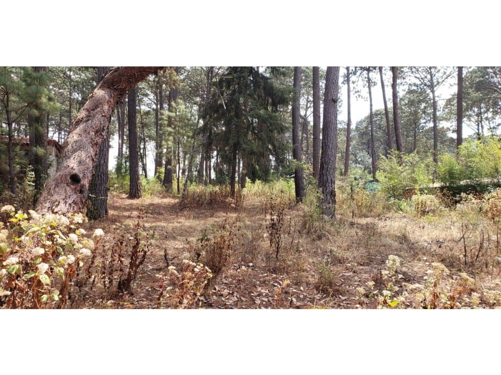 TERRENO EN VENTA EN AVANDARO — foto 1
