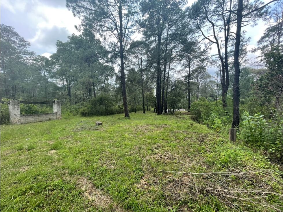 TERRENO EN VENTA, VALLE DE BRAVO — foto 2