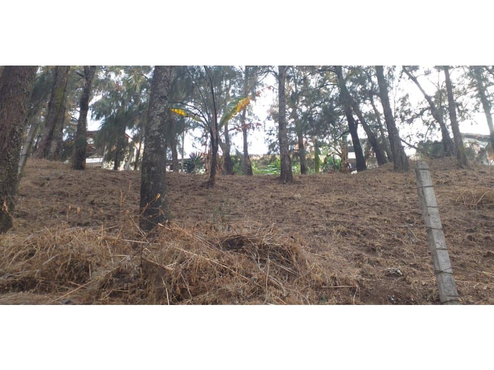 TERRENO EN LA PEÑA DE VALLE DE BRAVO — foto 1