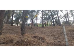 TERRENO EN LA PEÑA DE VALLE DE BRAVO