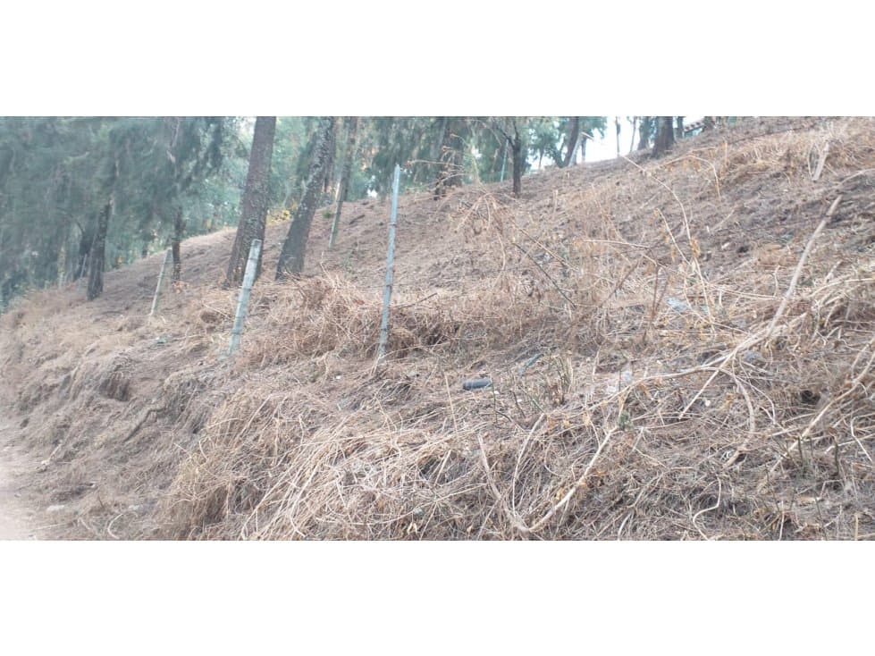 TERRENO EN LA PEÑA DE VALLE DE BRAVO — foto 3