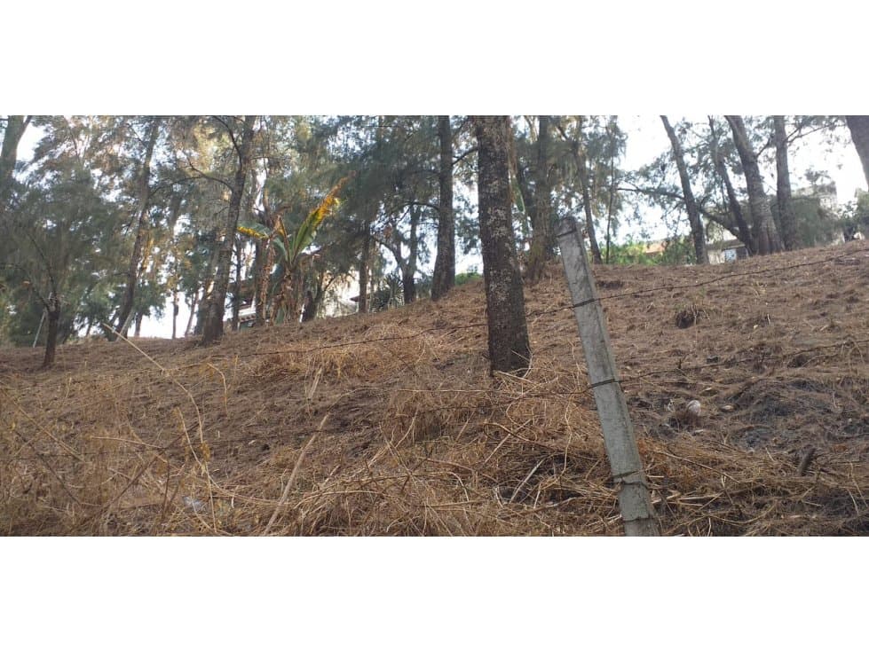 TERRENO EN LA PEÑA DE VALLE DE BRAVO — foto 4
