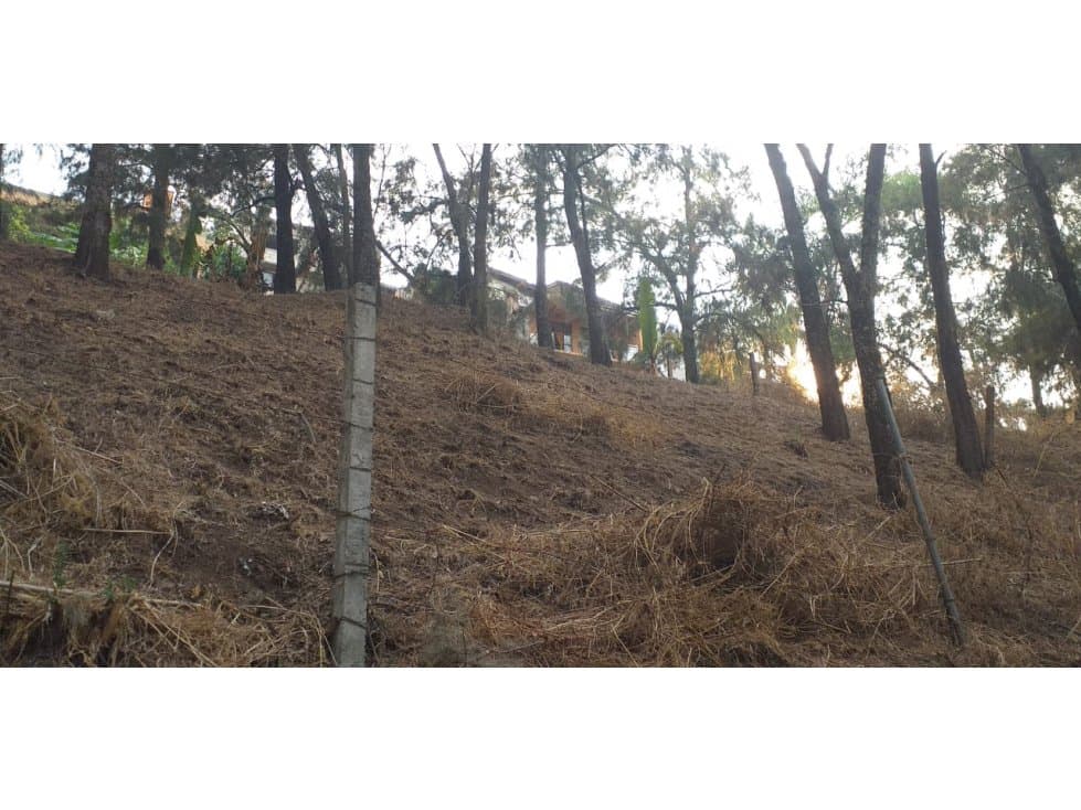 TERRENO EN LA PEÑA DE VALLE DE BRAVO — foto 2