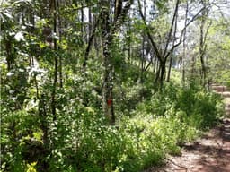 TERRENO EN VENTA EN AVANDARO
