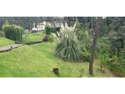 CASA EN VENTA, CON ENTORNO DE BOSQUE, AVANDARO
