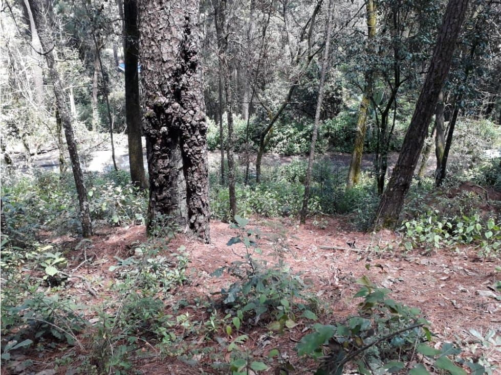 TERRENO EN VENTA EN AVANDARO — foto 6