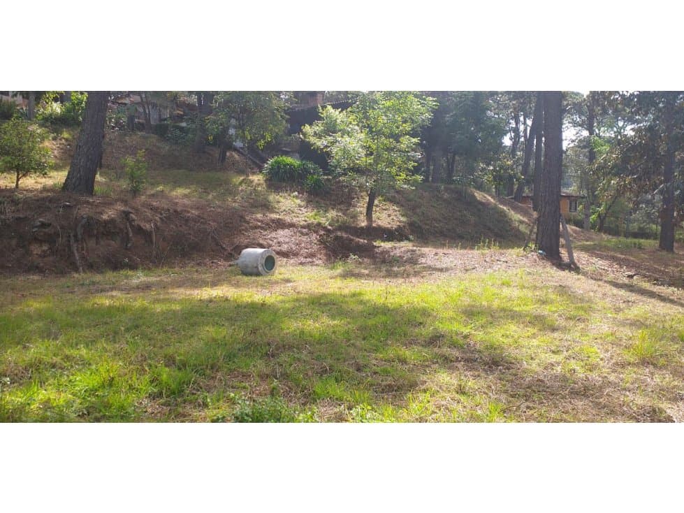 TERRENO EN VENTA EN AVANDARO — foto 3