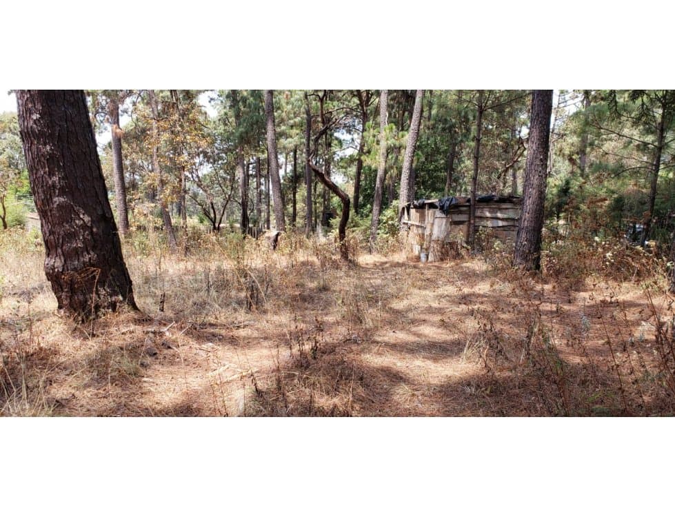 TERRENO EN VENTA EN AVANDARO — foto 4