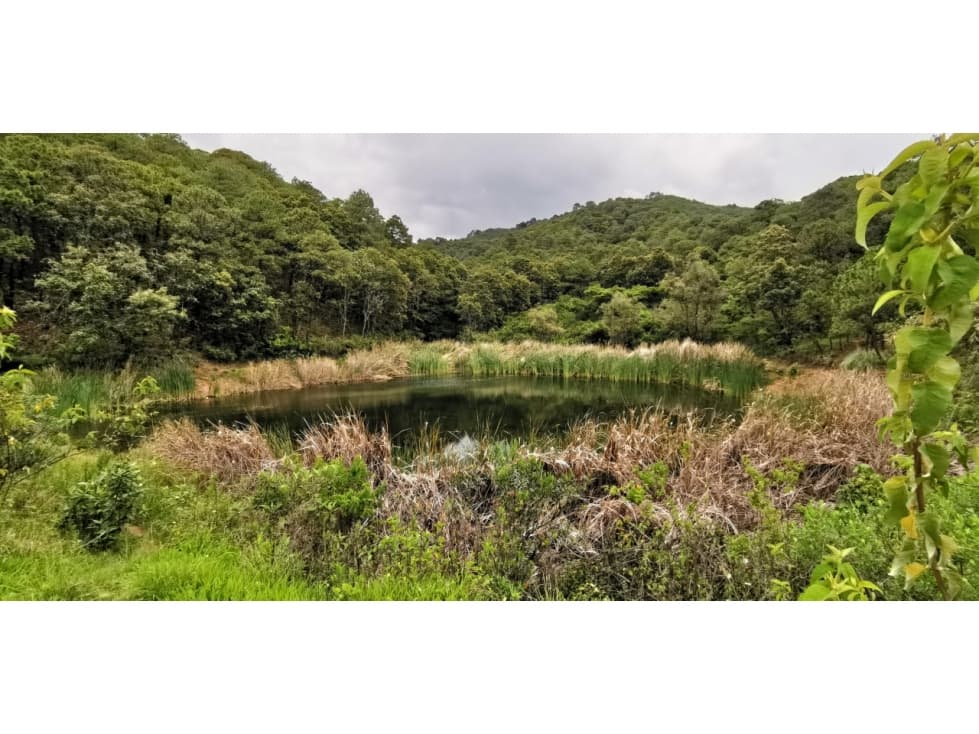 LOTES EN VENTA, VALLE DE BRAVO — foto 4