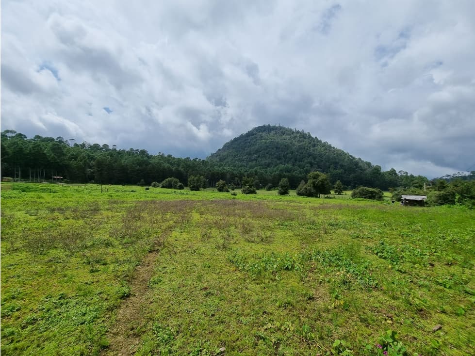 TERRENO EN VENTA, CERRO GORDO — foto 5