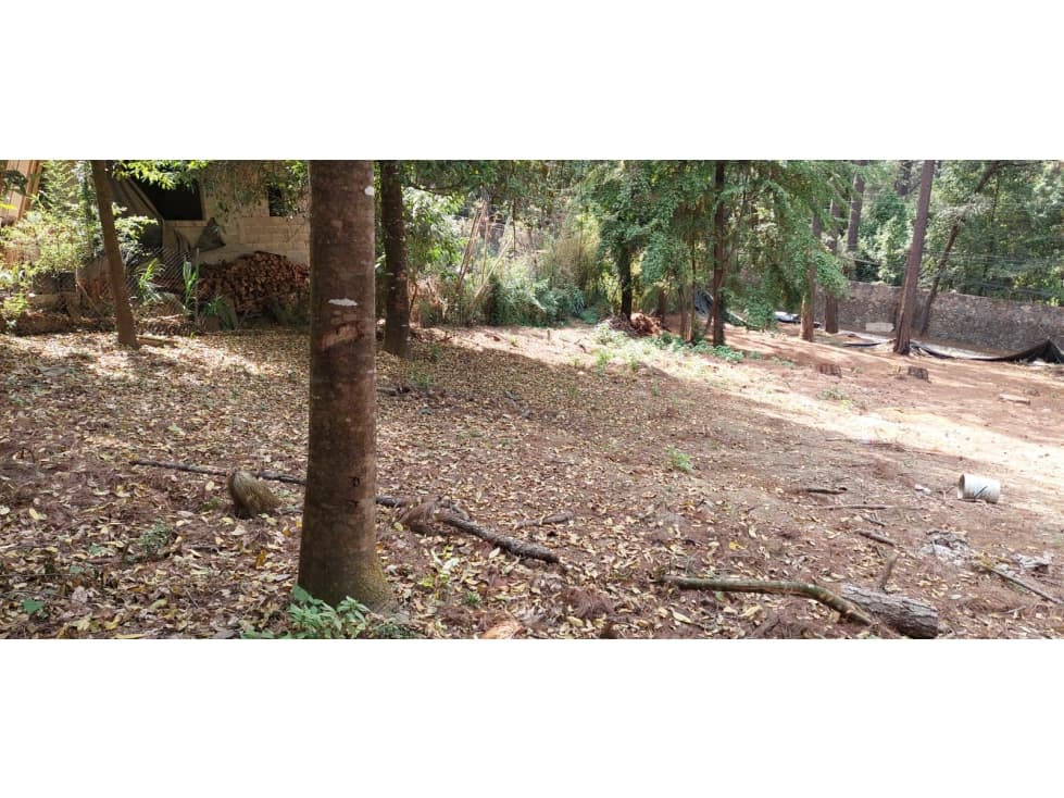 HERMOSO LOTE EN CERRO GORDO — foto 3