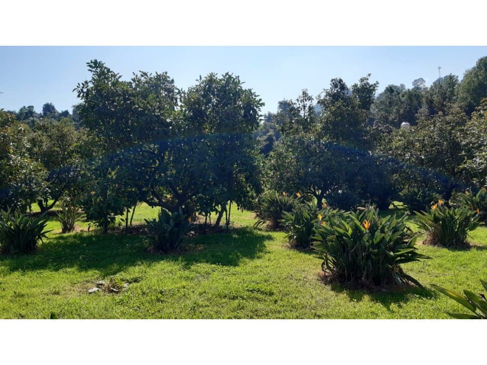 TERRENO EN VENTA; VALLE DE BRAVO. — foto 4