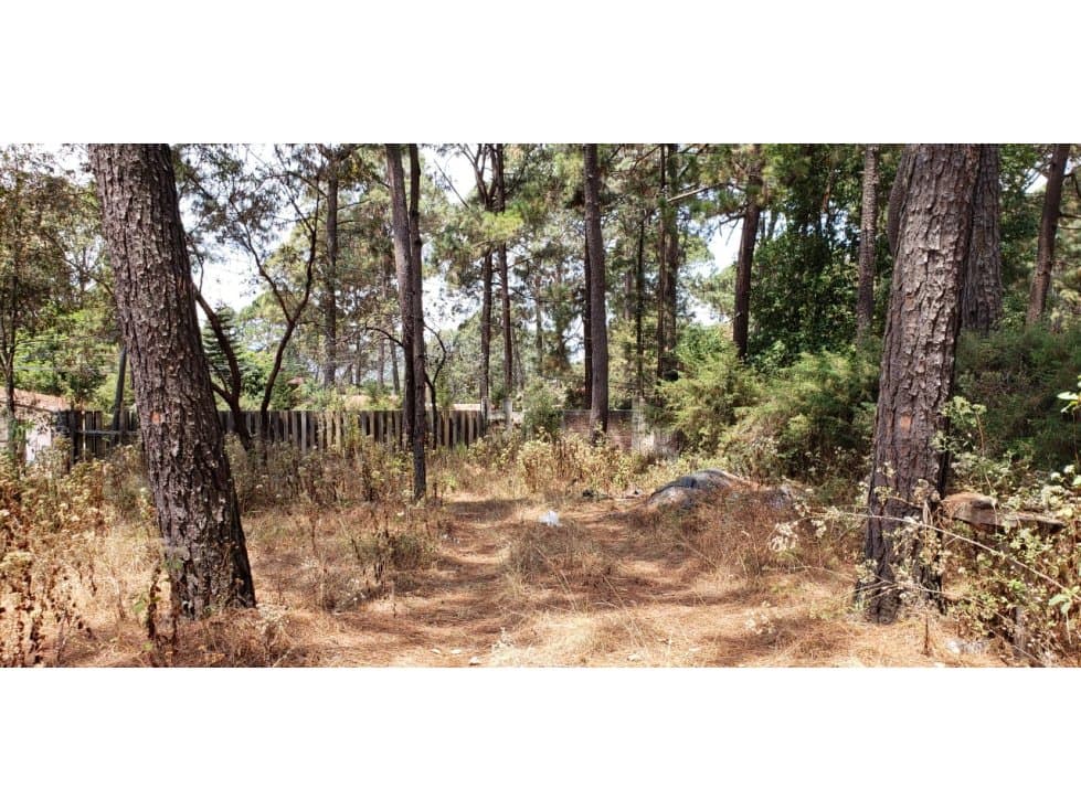 TERRENO EN VENTA EN AVANDARO — foto 5