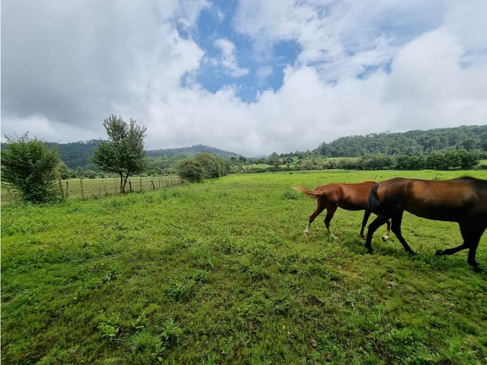 TERRENO EN VENTA, CERRO GORDO — foto 2